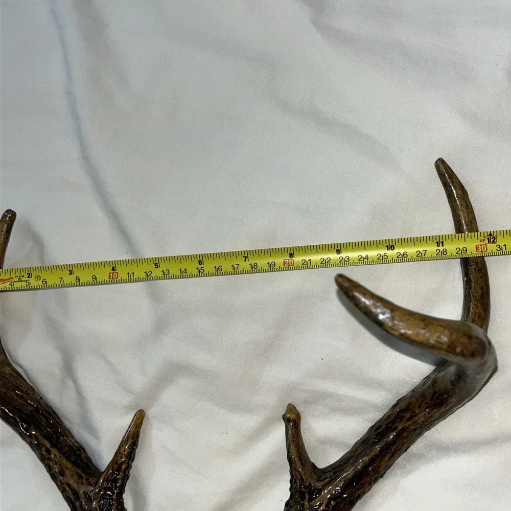 Genuine Deer Antlers Small 7 point Man Cave Decor Antler Polished‎ Hunters Skull